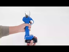 Auston AES20-3 potatore