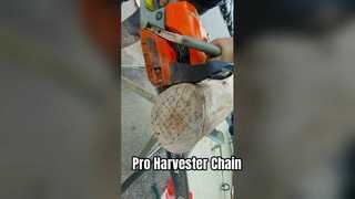 Catena per sega Pro Harvester Qualità UE USA