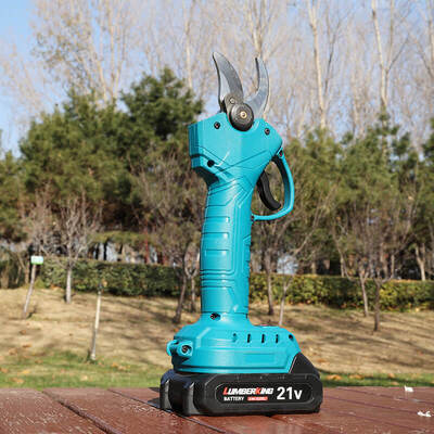 Tesi per potature professionali Tesi per potature elettriche, senza spazzola, 25V Tesi per potature senza fili